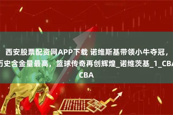 西安股票配资网APP下载 诺维斯基带领小牛夺冠，历史含金量最高，篮球传奇再创辉煌_诺维茨基_1_CBA