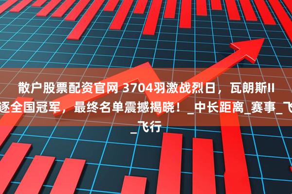 散户股票配资官网 3704羽激战烈日，瓦朗斯II角逐全国冠军，最终名单震撼揭晓！_中长距离_赛事_飞行