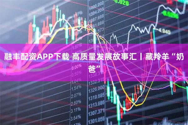 融丰配资APP下载 高质量发展故事汇丨藏羚羊“奶爸”